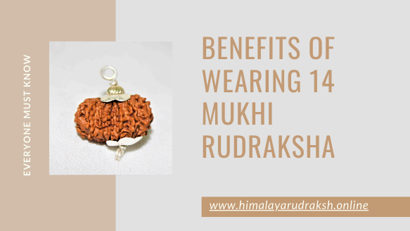 Rudraksha Benefits & Recommendation | 1 - 14 Mukhi Beads Mala at  ShubhGems.com - YouTube