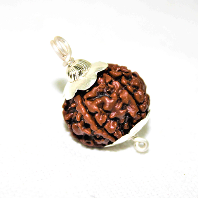 5 mukhi