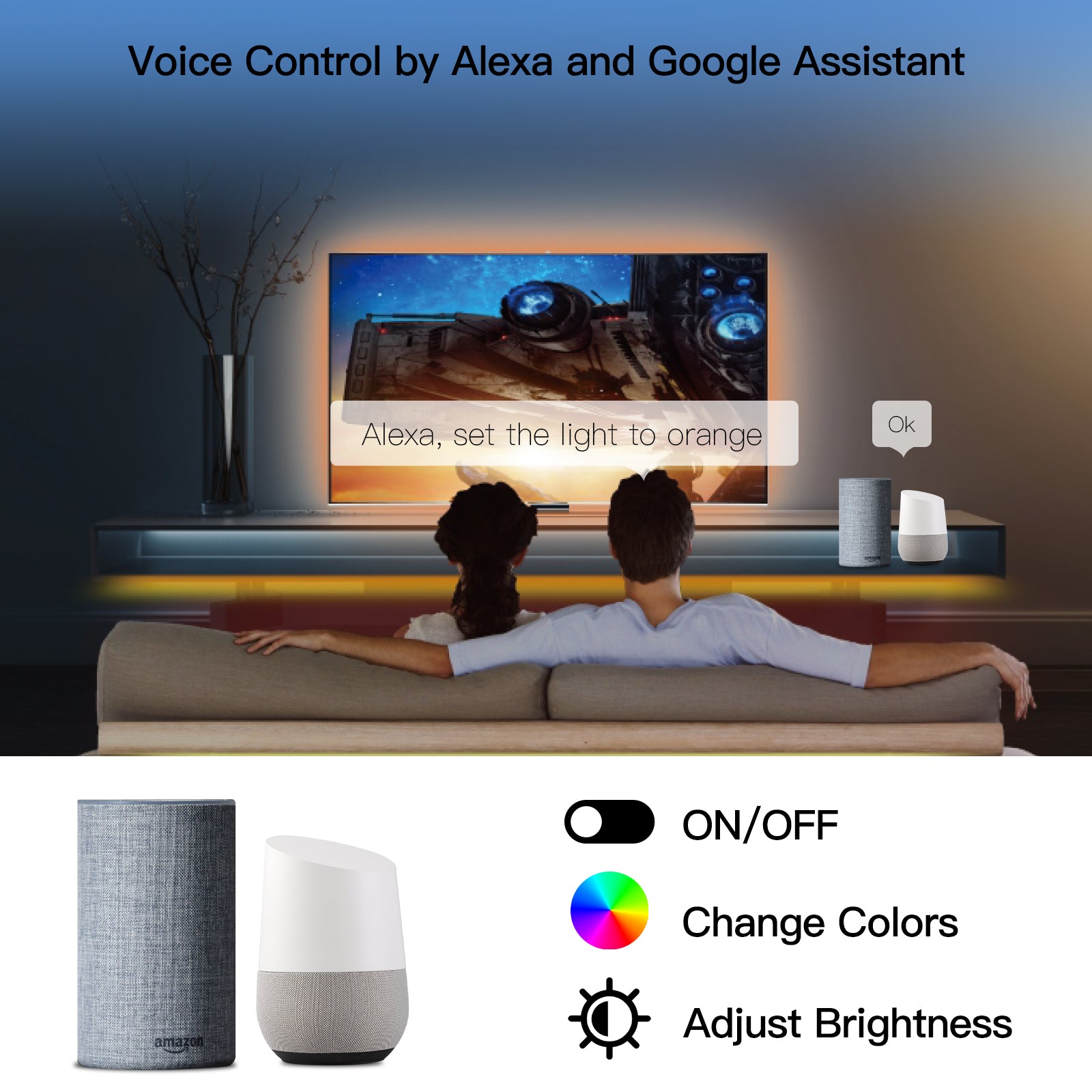 Voice Control by Alexa and Google Assistant