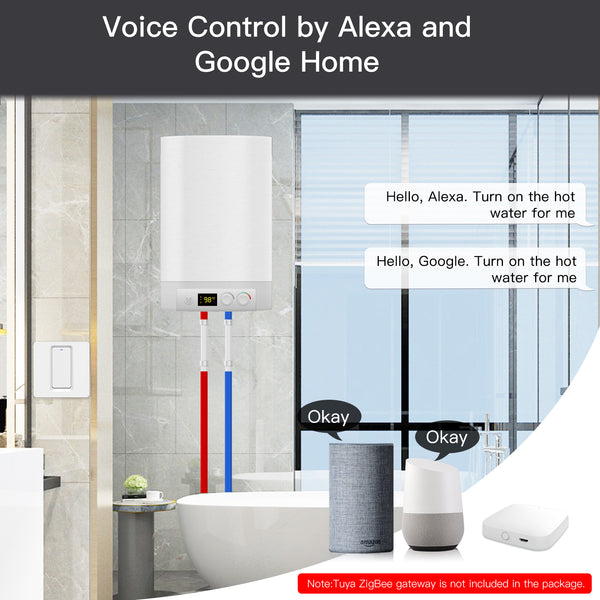 Voice Control by Alexa and Google Home