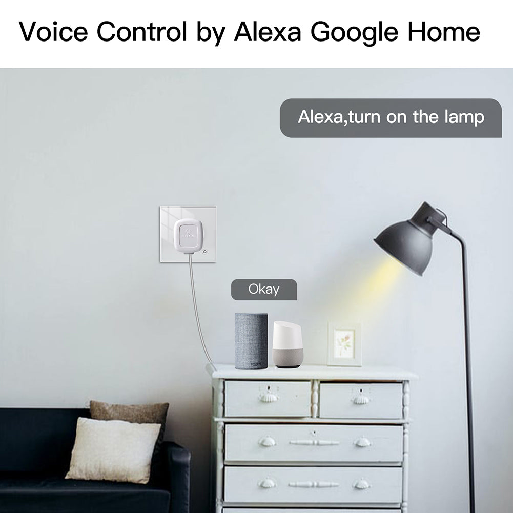 Voice Control by Alexa Google Home