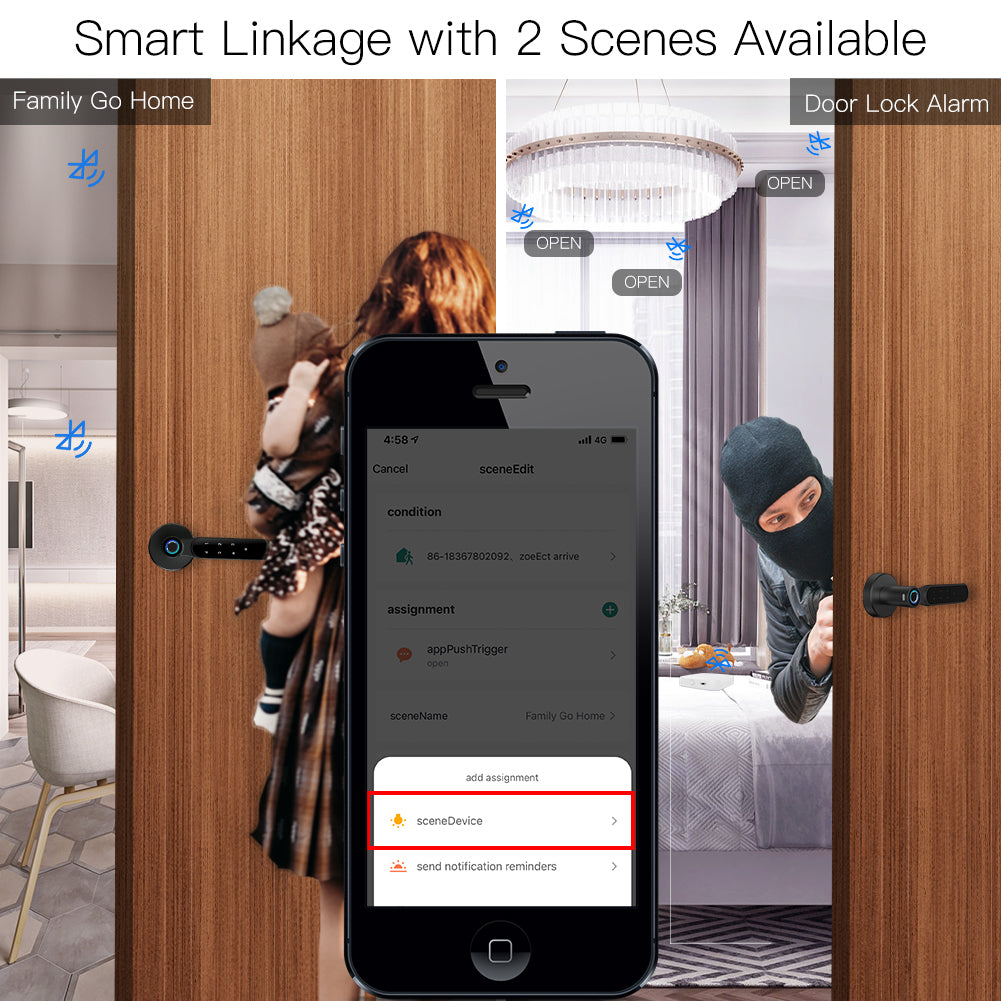 Smart L inkage with 2 Scenes Available