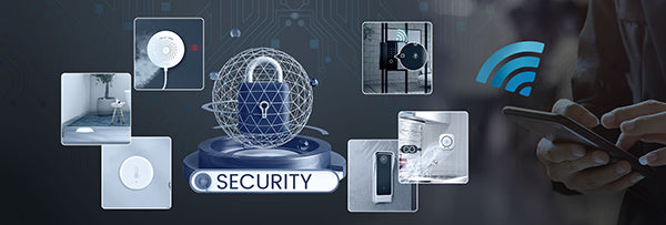 Components of a Security System