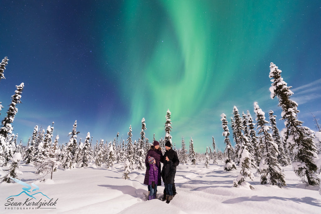 læsning Lav et navn pakke This Live Stream of the Northern Lights Will Completely Enchant You –  Teradek