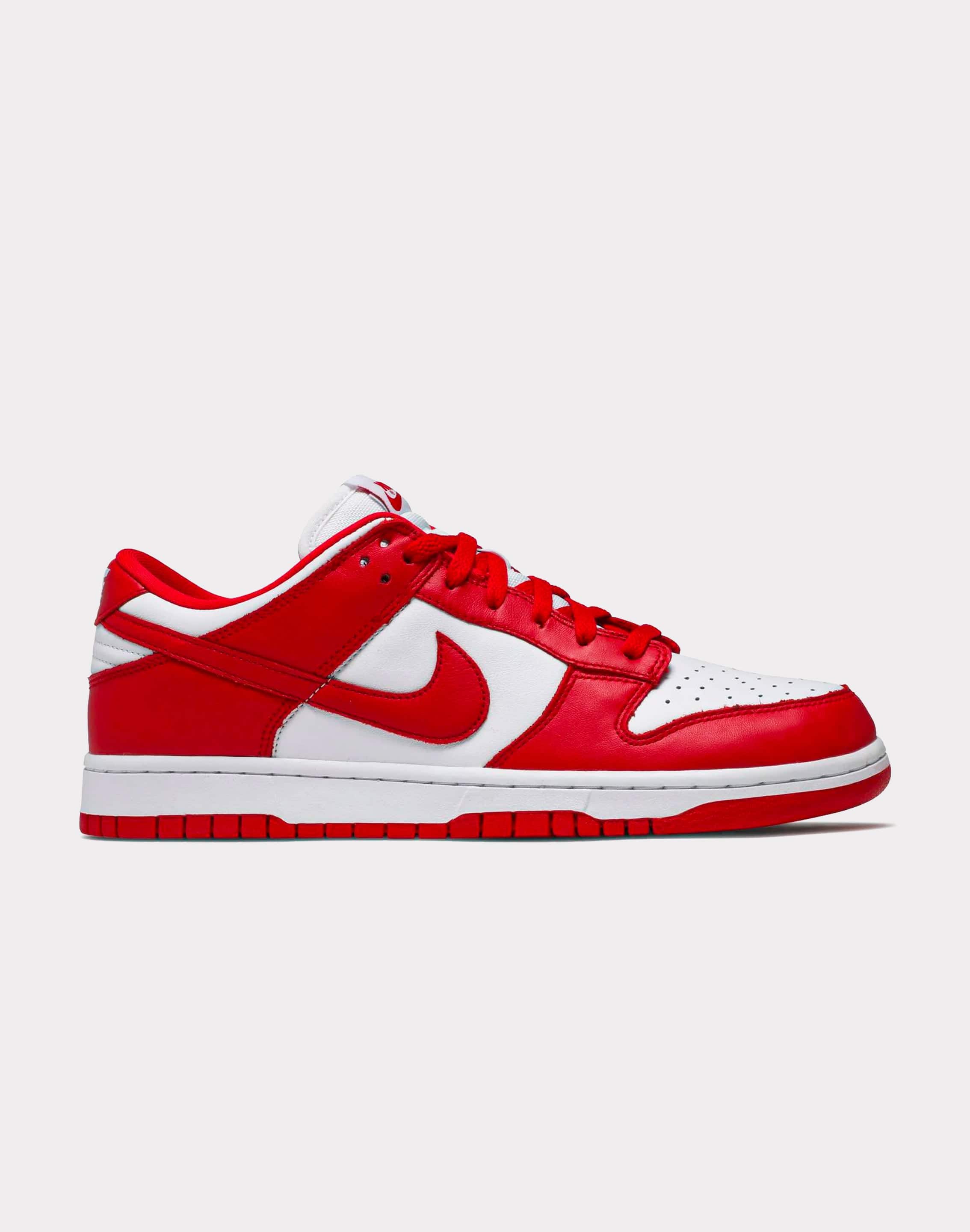 Nike Dunk Low SP