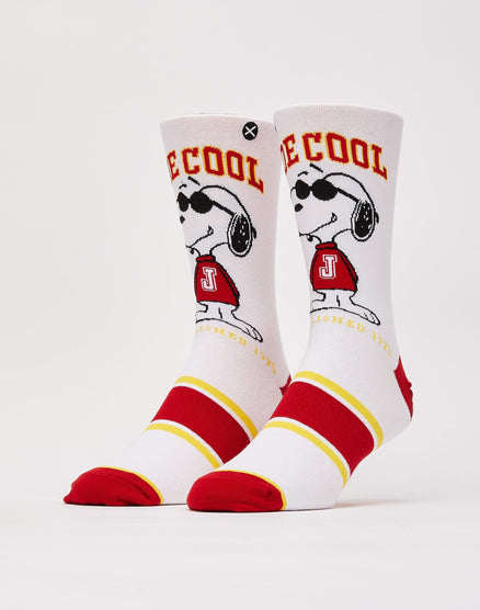 Odd Sox Cool Cat Crew Socks