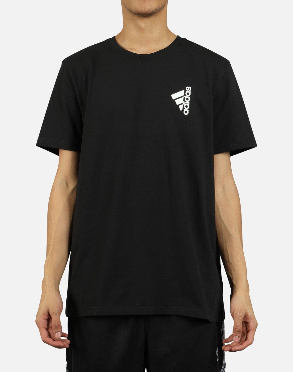 INTERNATIONAL BADGE OF SPORT TEE – DTLR