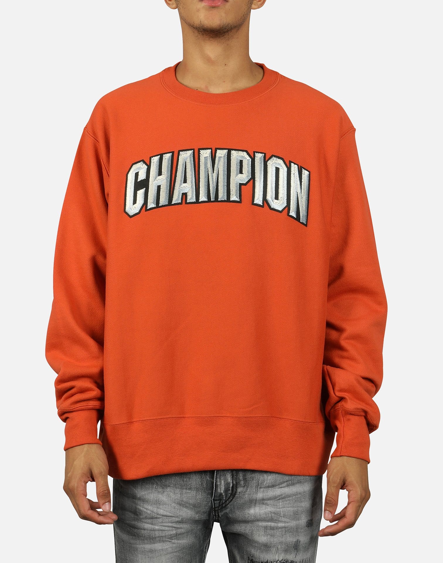 champion reverse weave block crew sweat