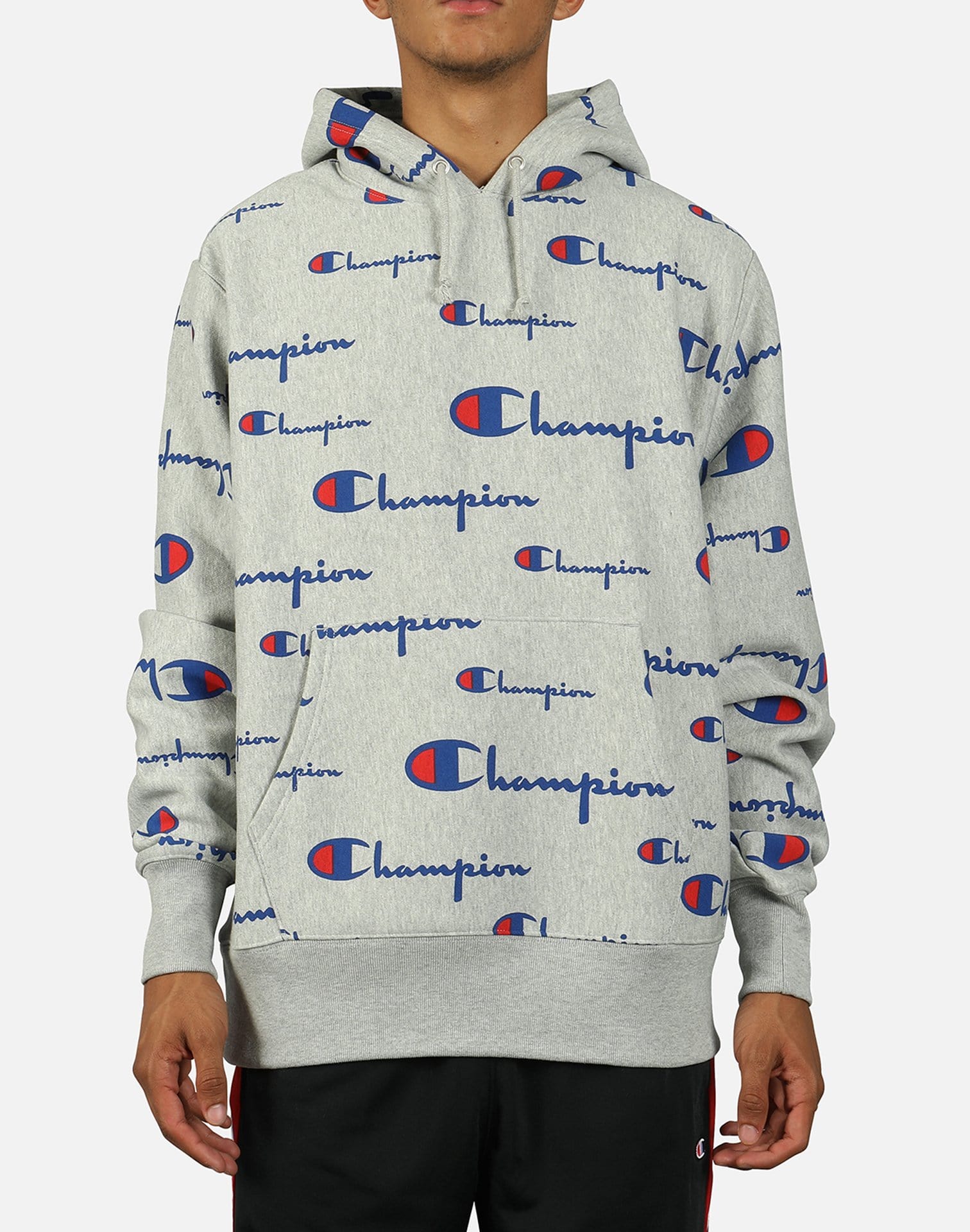 champion sweatshirt with all over script logo