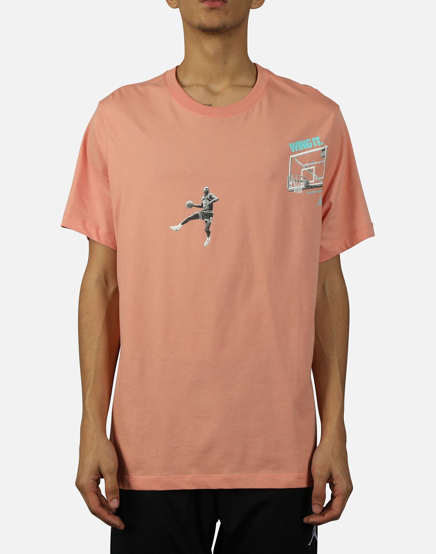 jordan wing it t shirt