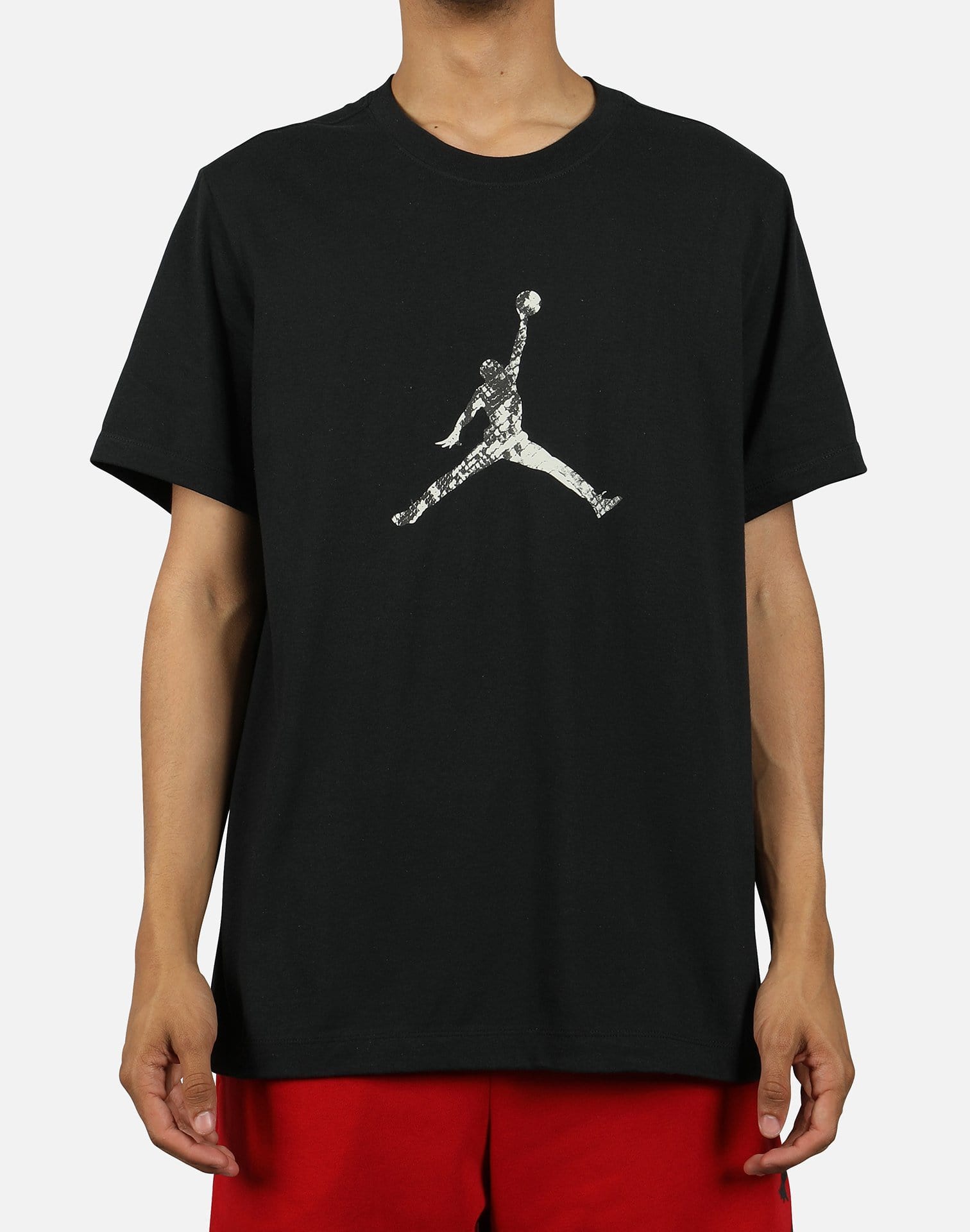 LEGACY AJ11 SNAKESKIN TEE – DTLR