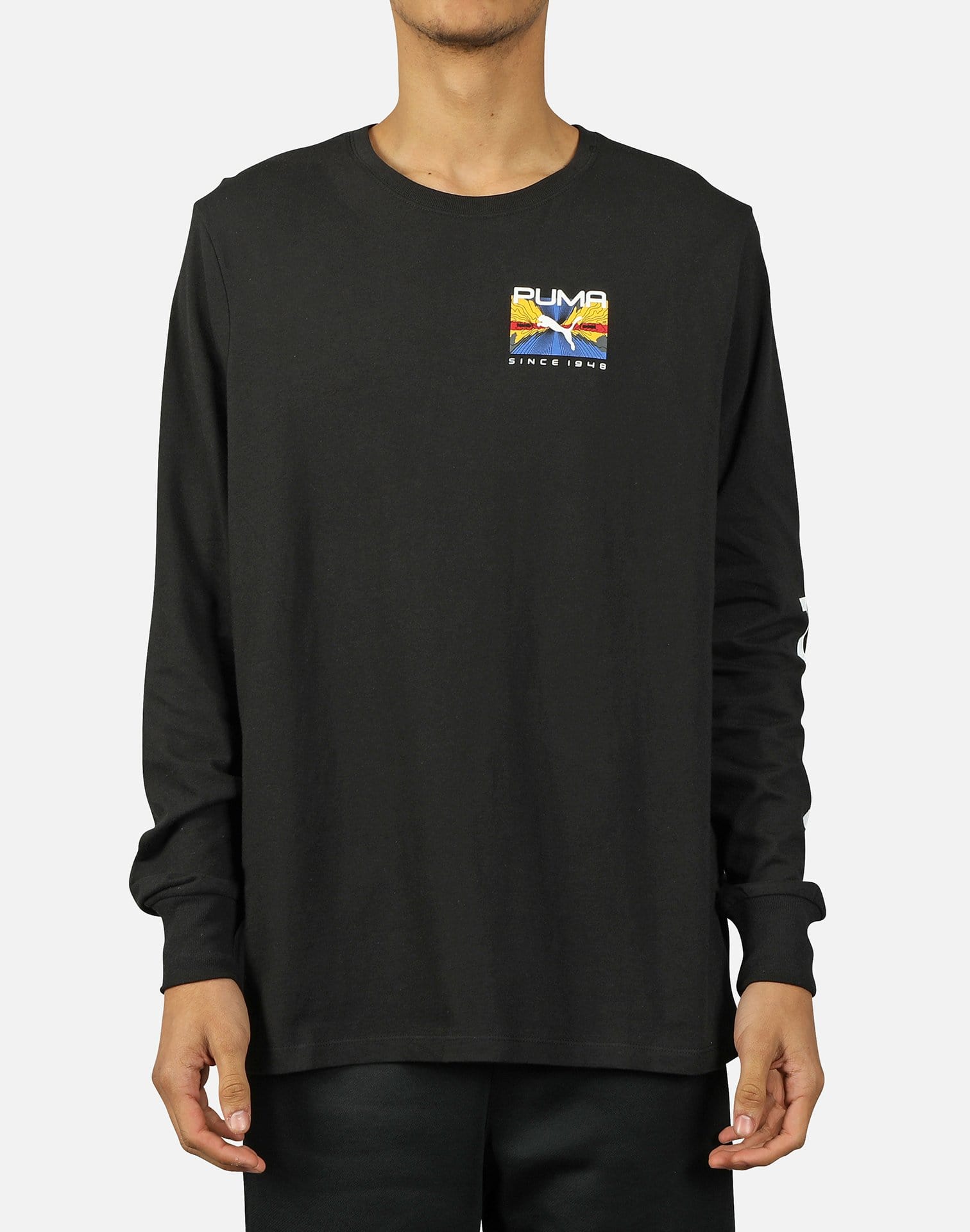 Rs X Puzzle Long Sleeve Tee Dtlr