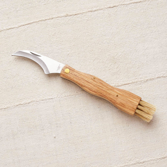 https://cdn.shopify.com/s/files/1/0095/5469/0106/products/foraging-mushroom-knife-multitool-1_ecc0df1a-eff2-4b3c-8204-c1c42a64883e.jpg?v=1541030388&width=533