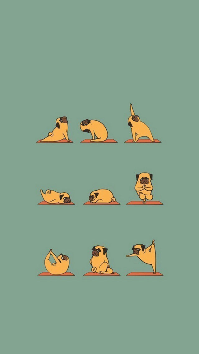 Funny Pug Doing Yoga Iphone 11 Pro Max Case Case And Wallpaper