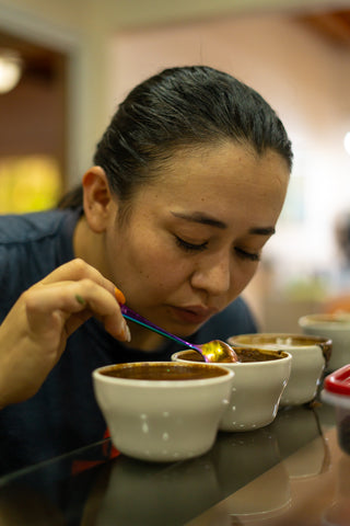 Lourdes during the cupping