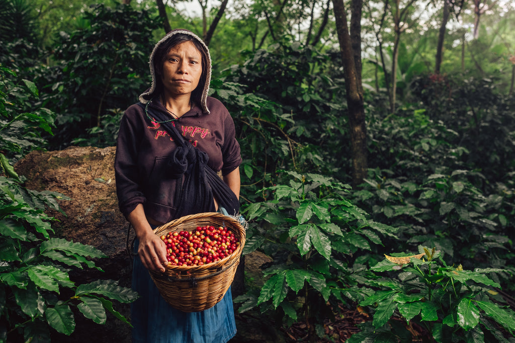 Women on the Farm