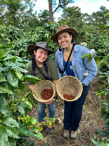 Ashley & Daryl with their coffee cherry pickings