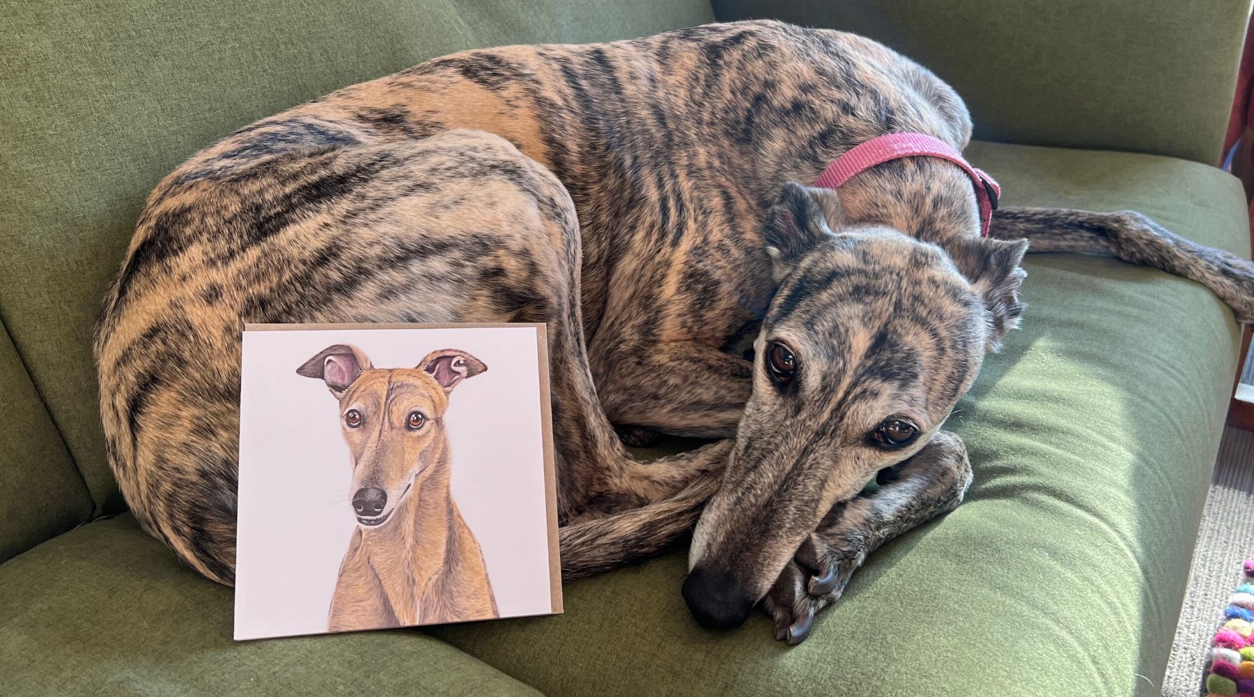 Shirley the Greyhound Dog with our greyhound greeting card