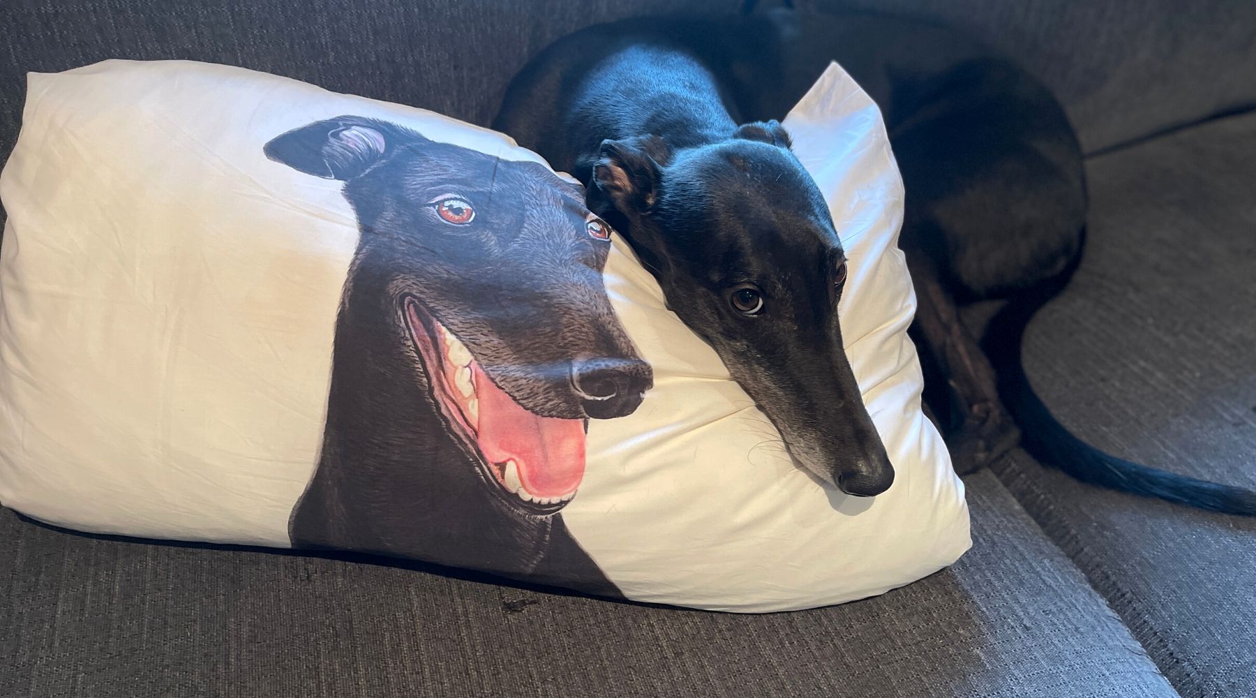 Black Greyhound Dog Pillowcase Lil