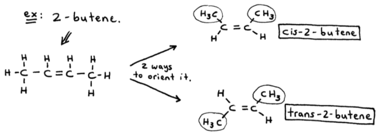 Cis Trans Isomers of 2-butene