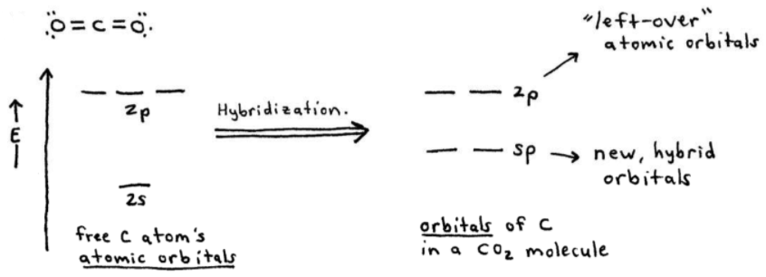 Formation of sp Hybrid Orbitals