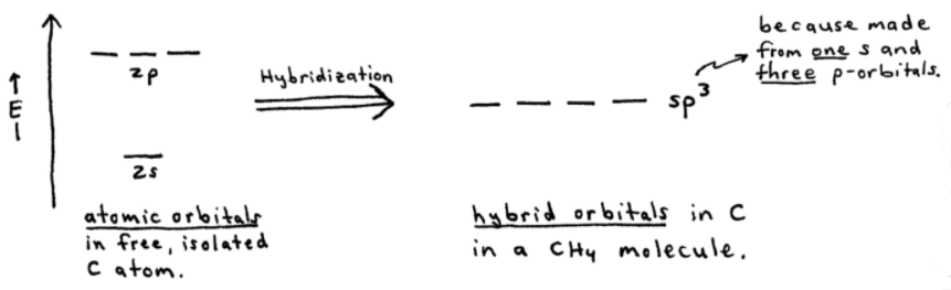 Formation of sp3 Hybrid Orbitals