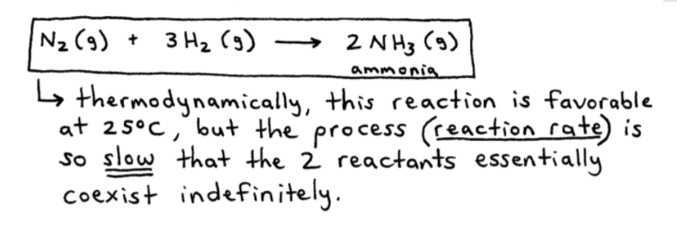 Kinetics of Ammonia Production