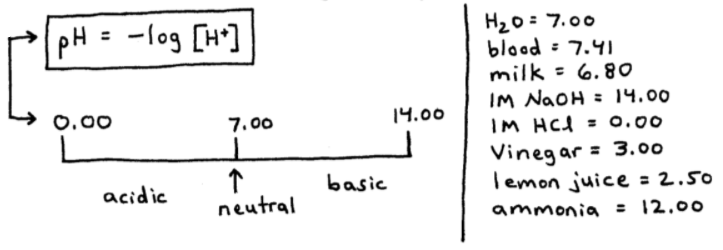 pH Equation and pH Scale