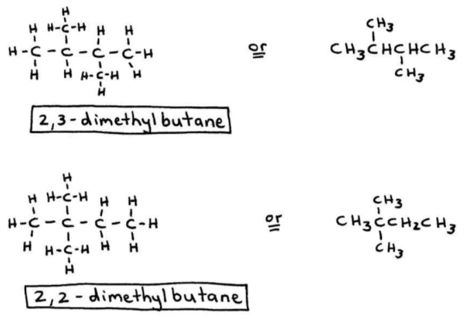 Structure of 2,3-Dimethylbutane