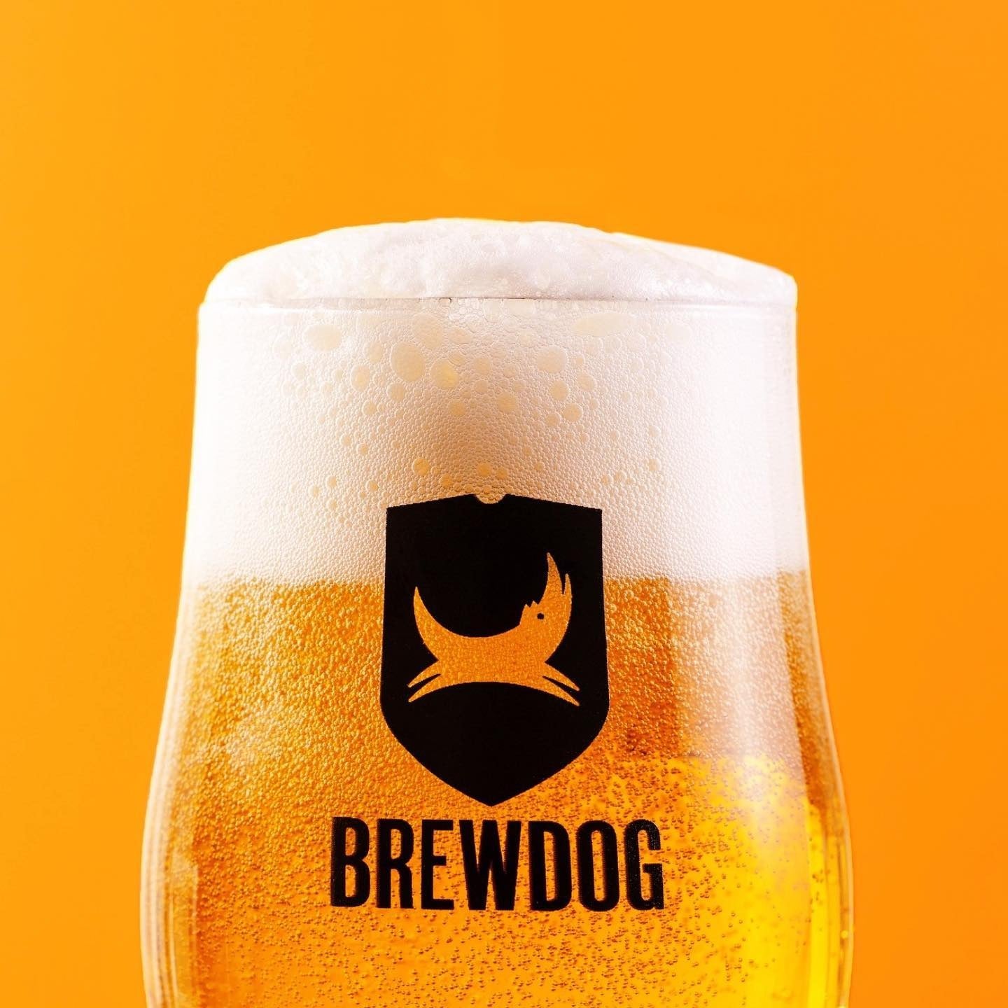 BREW DOG,