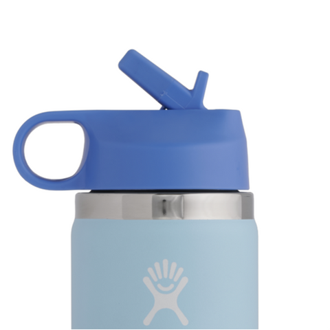 Hydro Flask Purple Wide Mouth Flex Straw Cap Bottle, 24 oz Hydro Flask