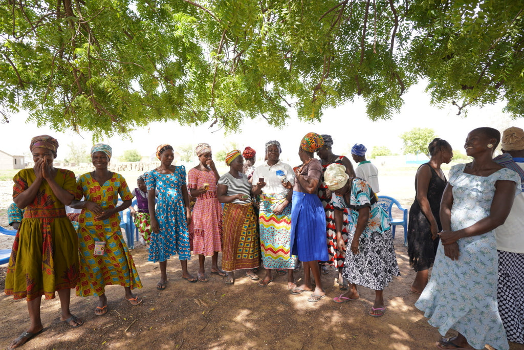 Image of Women's Cooperative in Ghana