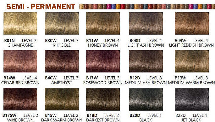 7. Clairol Natural Instincts Semi-Permanent Hair Color, Midnight Indigo - wide 10