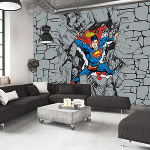 Warner Brothers Wall Murals – tagged 