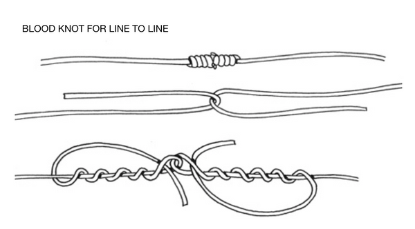 START FISHING GUIDE 3/3 :Setting up your rod, casting and knots to use –  Rigged and Ready