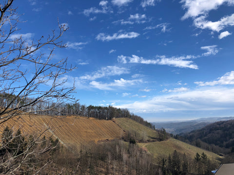 Hügelige Landschaft mit blauem Himmel