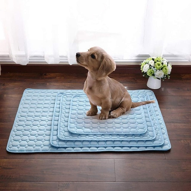 cooling mat for a dog