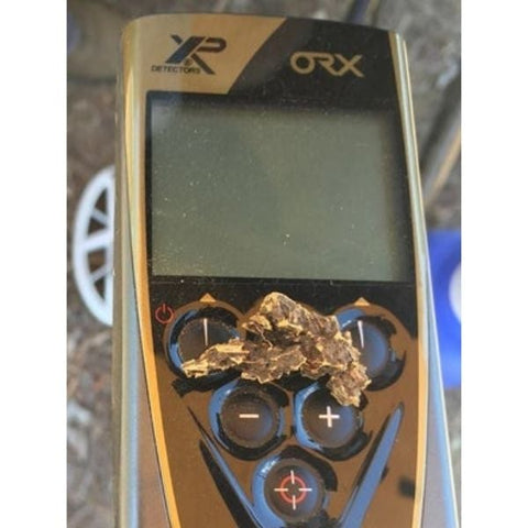 XP ORX Metal Detector Gold Nugget