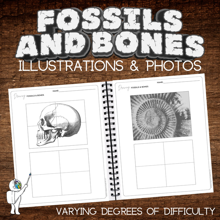 Fossil & Bones Art Worksheets - Visual Art Student Drawing Workbook – A  Space to Create Art