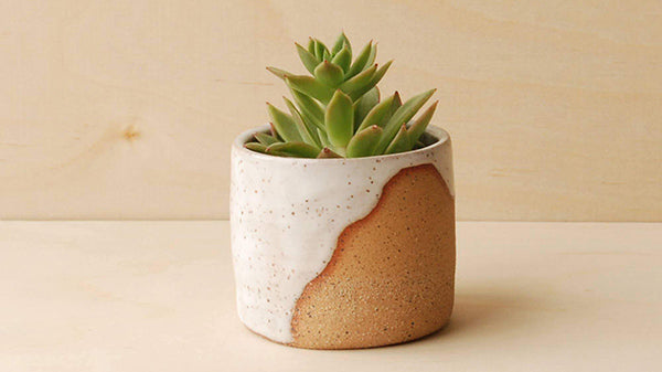 New Origin Shop Mother's Day Guide 2021 - Planters