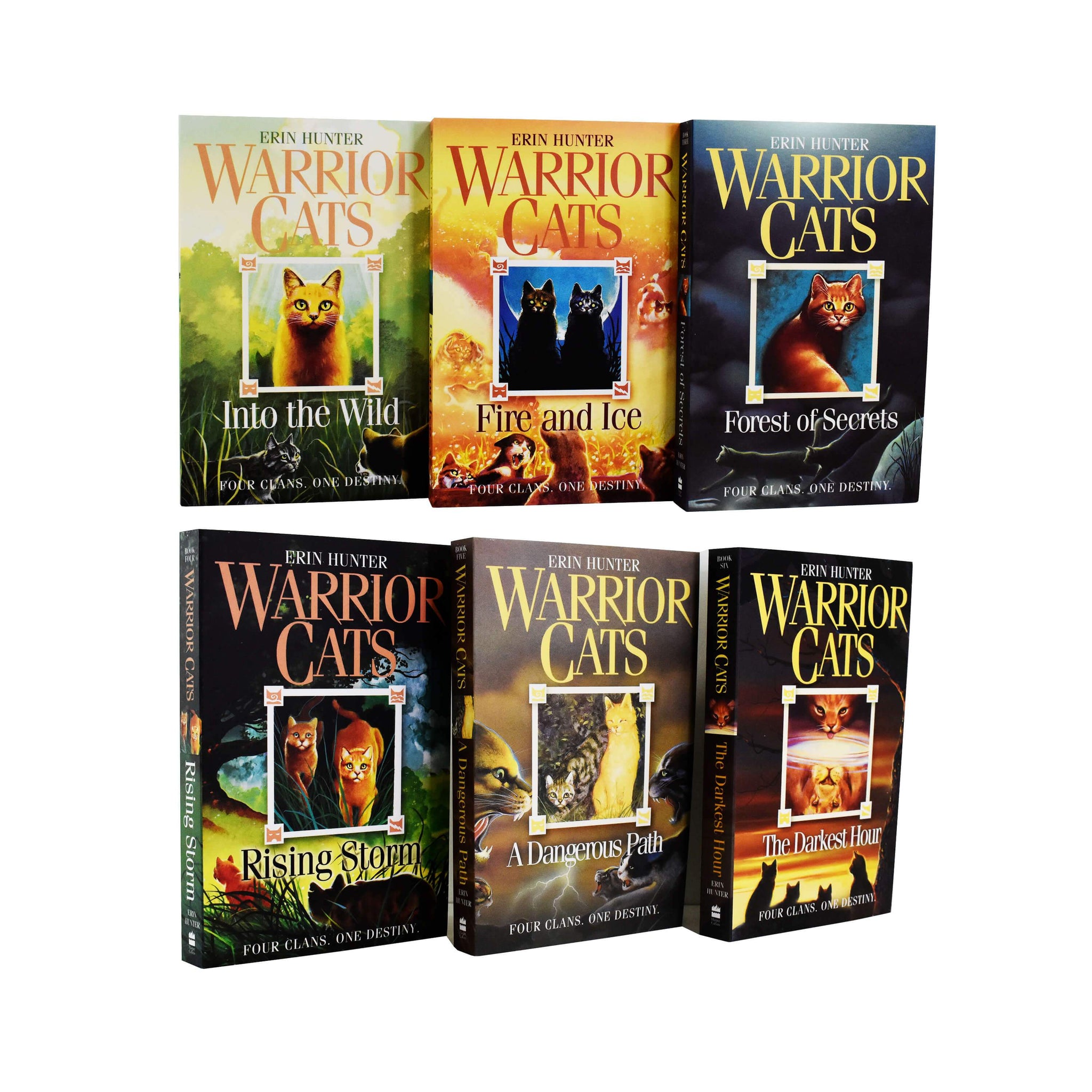Warrior Cats Series 1 The Prophecy Begin 6 books by Erin Hunter Ages
