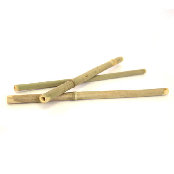 Bamboo Straws (10 pack)