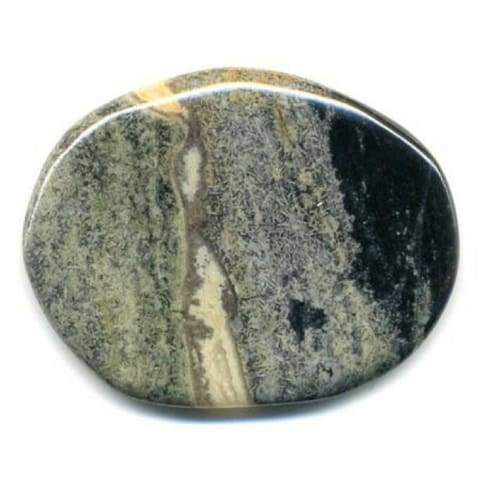 Properties Of Silver Leaf Jasper Trending Online Gift Shop 21