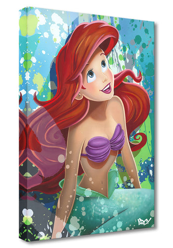 Pin em Fantasia Ariel