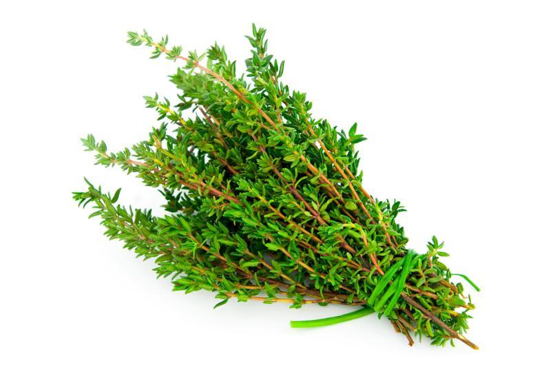 low growing thyme