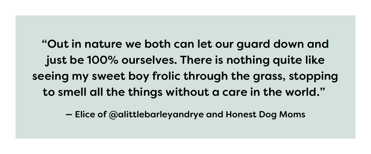 contributing quote from Elice of Honest Dog Moms podcast