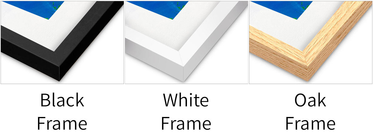 Framed prints color options