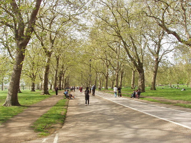 Hyde Park cycle route - Bike Club