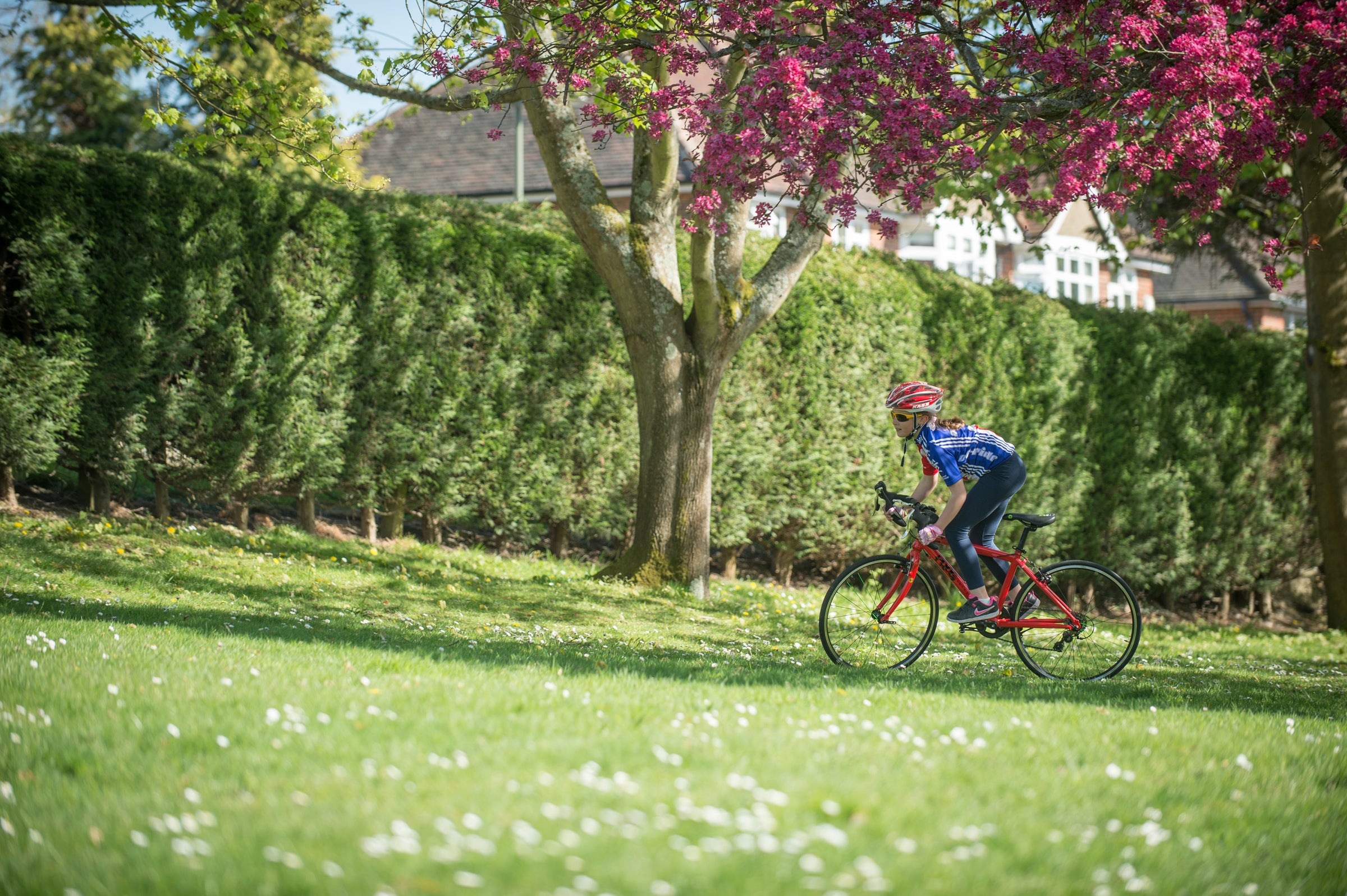 child riding a Frog Road 67 - Bike Club