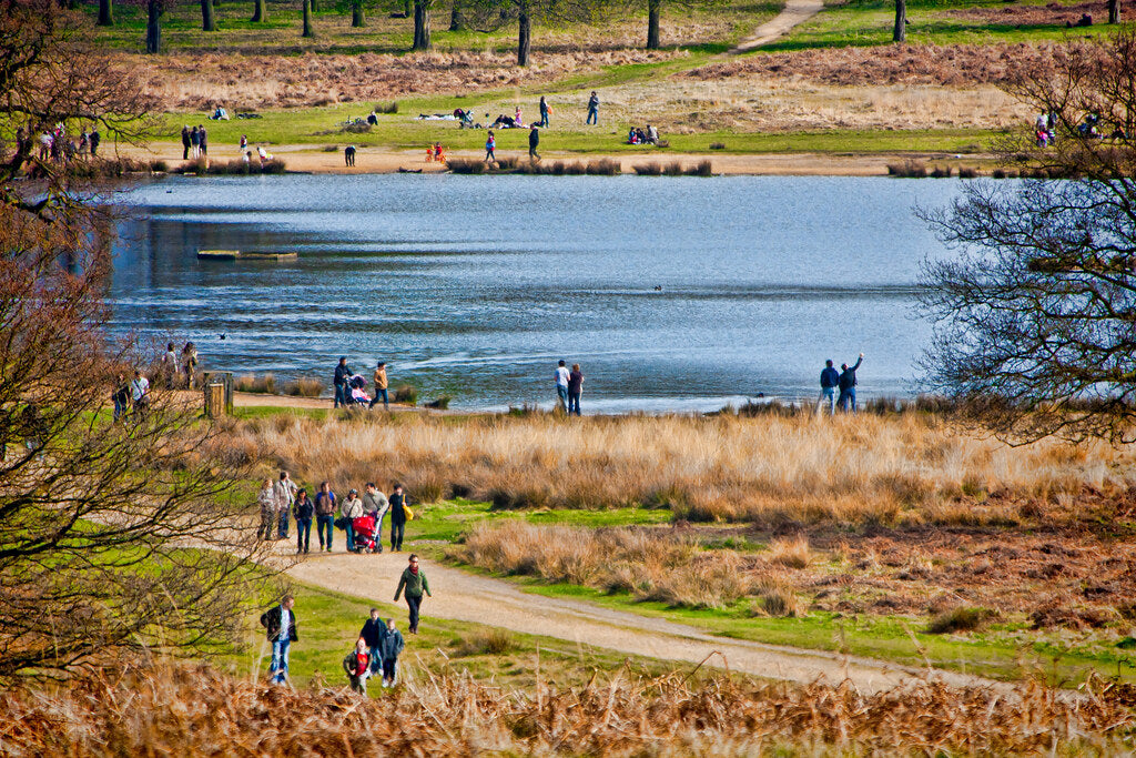 Richmond Park - Bike Club